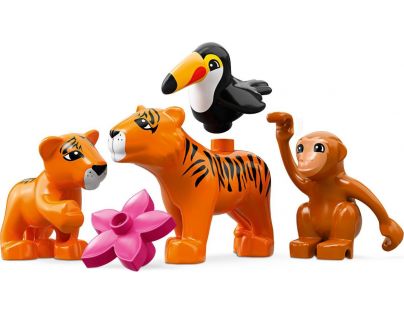LEGO® DUPLO® Town 10906 Tropický ostrov