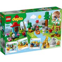 LEGO Duplo Town 10907 Zvířata světa - Poškozený obal 4
