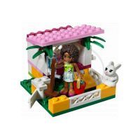 LEGO Friends 3938 Andrea a její králíkárna 3