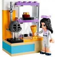 LEGO Friends 41002 Ema trénuje karate 3