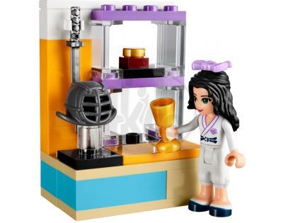 LEGO Friends 41002 Ema trénuje karate