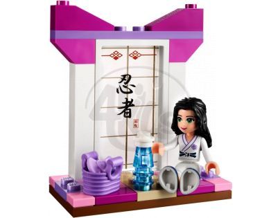 LEGO Friends 41002 Ema trénuje karate
