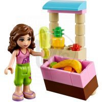 LEGO Friends 41010 Plážová bugina Olivia 4