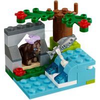 LEGO Friends 41046 - Řeka medvědů hnědých 2