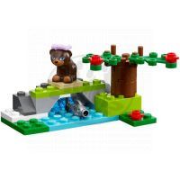 LEGO Friends 41046 - Řeka medvědů hnědých 3