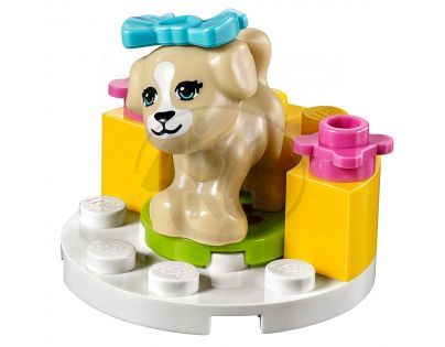 LEGO Friends 41088 - Výcvik štěněte