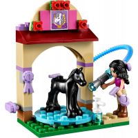 LEGO Friends 41123 Mytí hříbátka - Poškozený obal 3