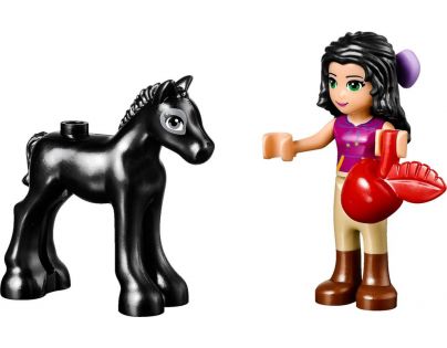 LEGO Friends 41123 Mytí hříbátka - Poškozený obal