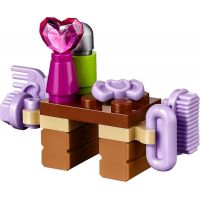 LEGO Friends 41123 Mytí hříbátka 4