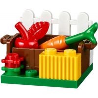 LEGO Friends 41123 Mytí hříbátka 5