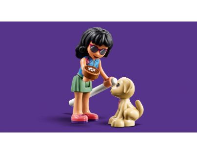 LEGO® Friends 41446 Veterinární klinika v městečku Heartlake