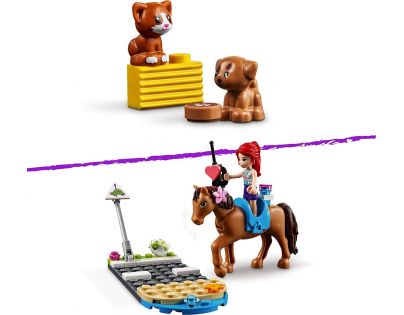 LEGO® Friends 41446 Veterinární klinika v městečku Heartlake