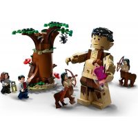LEGO® Harry Potter™ 75967 Zapovězený les Setkání Drápa a profesorky Umbridgeové 3