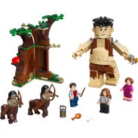 LEGO® Harry Potter™ 75967 Zapovězený les Setkání Drápa a profesorky Umbridgeové 2
