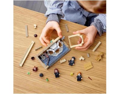 LEGO® Harry Potter™ 76386 Bradavice omyl s Mnoholičným lektvarem