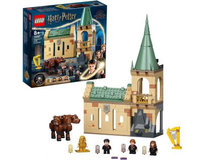 LEGO® Harry Potter™ 76387 Bradavice setkání s Chloupkem