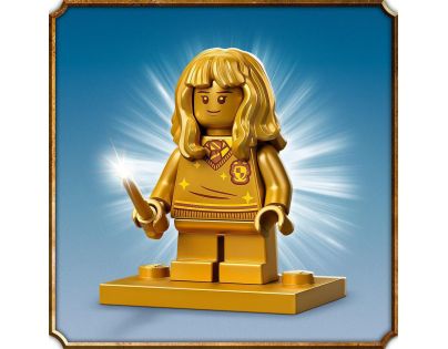 LEGO® Harry Potter™ 76387 Bradavice setkání s Chloupkem