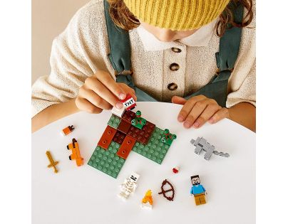 LEGO® Minecraft™ 21162 Dobrodružství v tajze