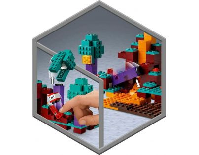 LEGO® Minecraft™ 21168 Podivný les