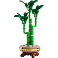 LEGO® Botanicals 10344 Bambus štěstí 2