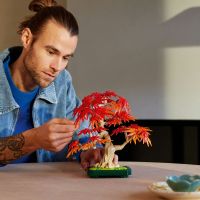 LEGO® Botanicals 10348 Bonsaj – Japonský červený javor 4