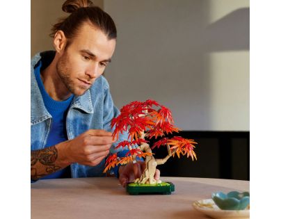 LEGO® Botanicals 10348 Bonsaj – Japonský červený javor
