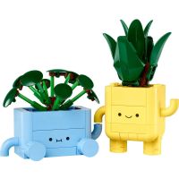 LEGO® Botanicals 10349 Veselé rostlinky 2
