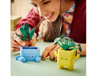 LEGO® Botanicals 10349 Veselé rostlinky