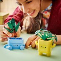 LEGO® Botanicals 10349 Veselé rostlinky 4