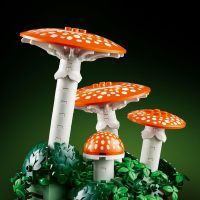 LEGO® Botanicals 11505 Lesní houby 5
