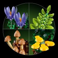 LEGO® Botanicals 11505 Lesní houby 6