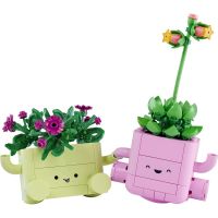 LEGO® Botanicals 11506 Houpající se rostlinky 2