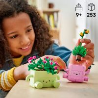 LEGO® Botanicals 11506 Houpající se rostlinky 3