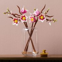 LEGO® Botanicals 11510 Větvičky magnólie 3
