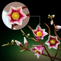 LEGO® Botanicals 11510 Větvičky magnólie 5