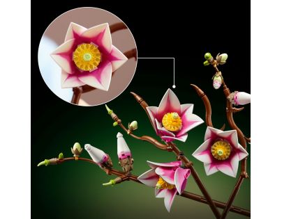 LEGO® Botanicals 11510 Větvičky magnólie