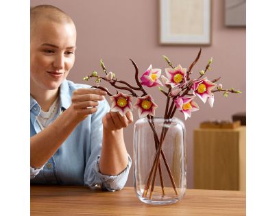 LEGO® Botanicals 11510 Větvičky magnólie