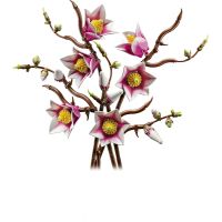 LEGO® Botanicals 11510 Větvičky magnólie 2