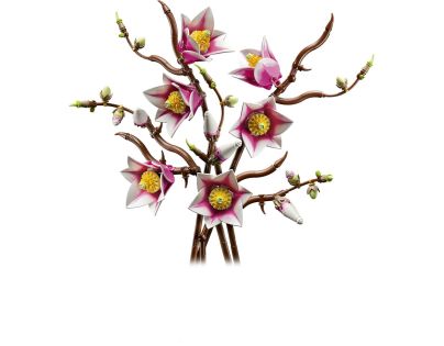 LEGO® Botanicals 11510 Větvičky magnólie