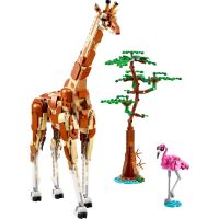 LEGO® Creator 31150 Divoká zvířata ze safari 2