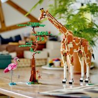 LEGO® Creator 31150 Divoká zvířata ze safari 5