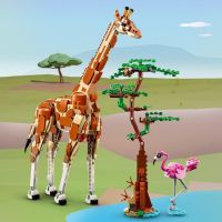 LEGO® Creator 31150 Divoká zvířata ze safari 6