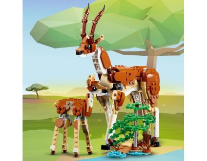 LEGO® Creator 31150 Divoká zvířata ze safari