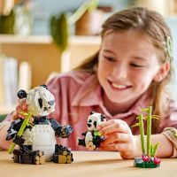 LEGO® Creator 3 v 1 31165 Divoká zvířata Pandí rodinka 3