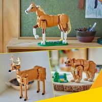 LEGO® Creator 3v1 31166 Krásný kůň 6