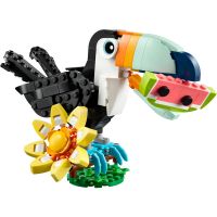 LEGO® Creator 3v1 31173 Divoká zvířata: Tropický tukan 2