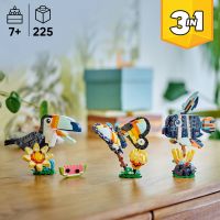 LEGO® Creator 3v1 31173 Divoká zvířata: Tropický tukan 3