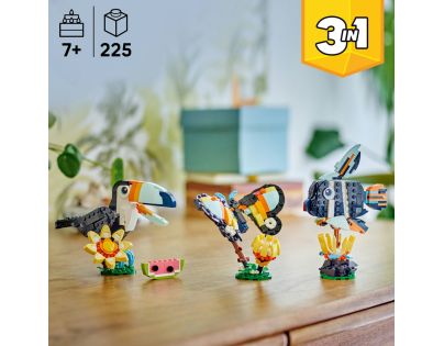 LEGO® Creator 3v1 31173 Divoká zvířata: Tropický tukan
