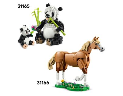 LEGO® Creator 3v1 31173 Divoká zvířata: Tropický tukan