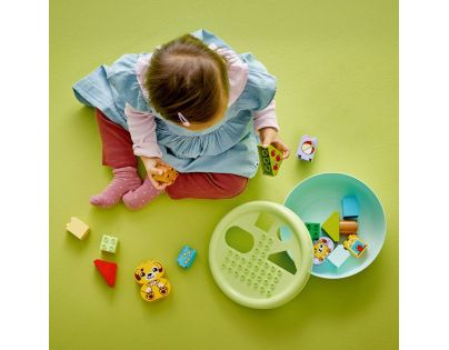 LEGO® DUPLO® 10441 Třídění tvarů: Domeček pro štěňátka